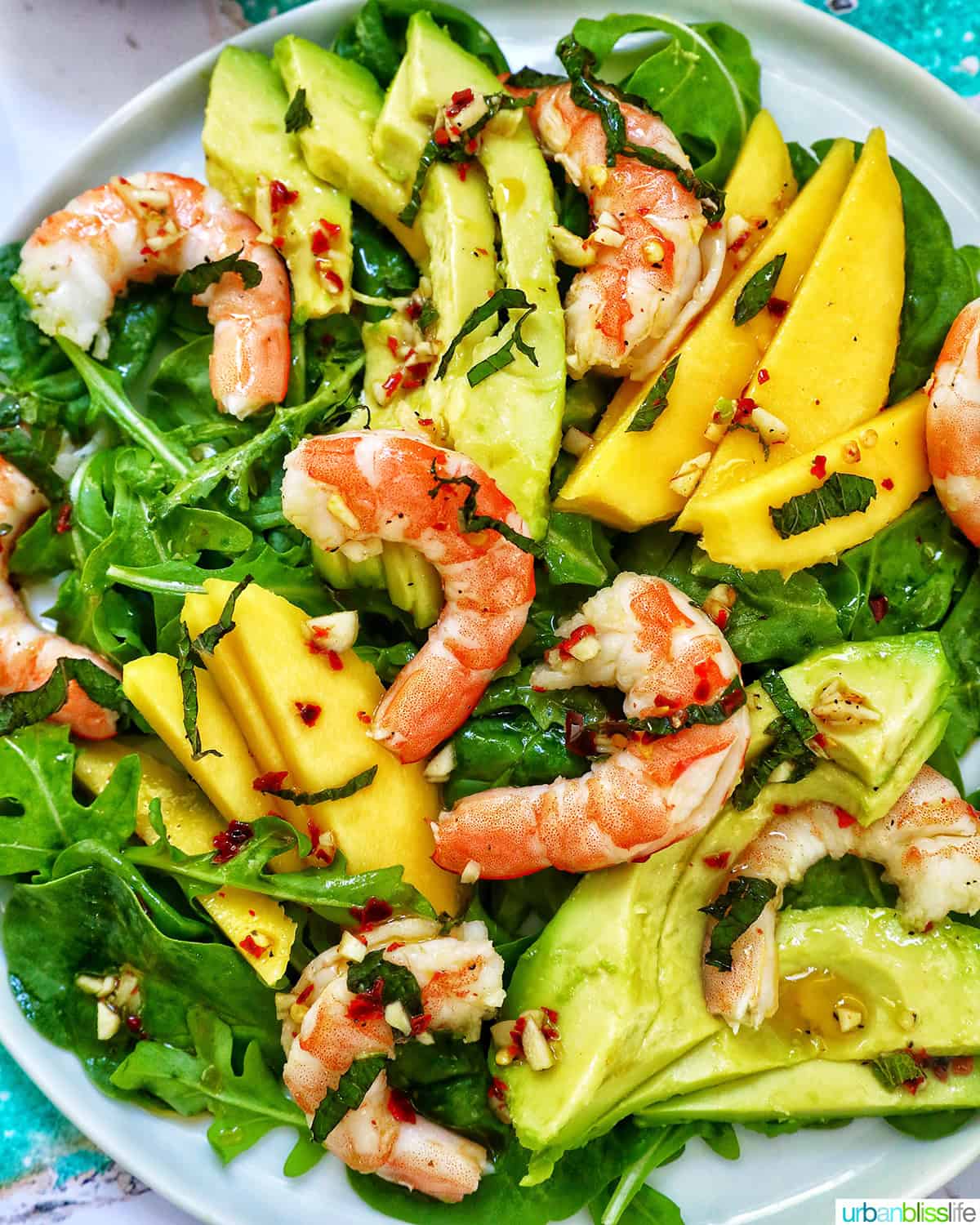 mango avocado prawn saladm