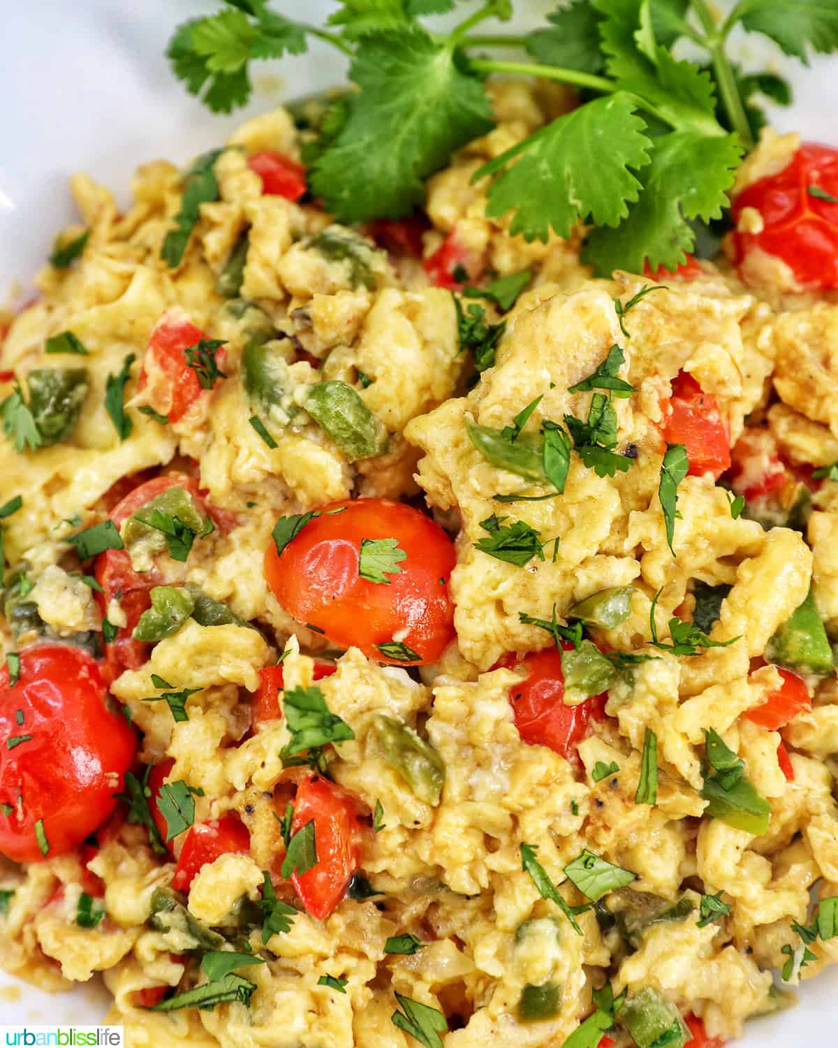 egg vegetable scramble on a white plate with parsley garnish.