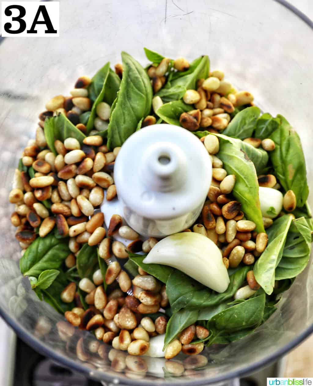 pine nuts, basil leaves, garlic in a food processor.