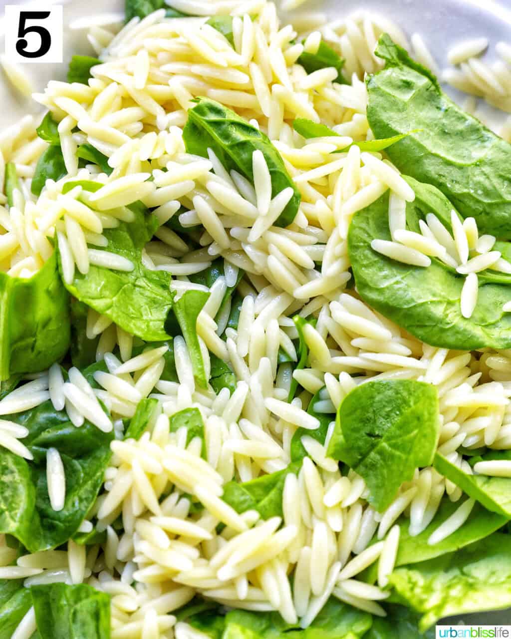 orzo mixed with spinach.
