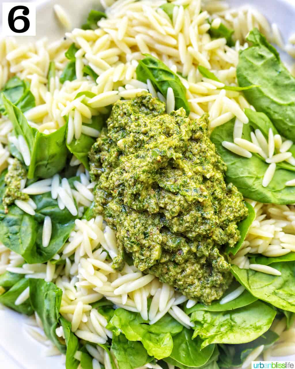 pesto on top of orzo and spinach.