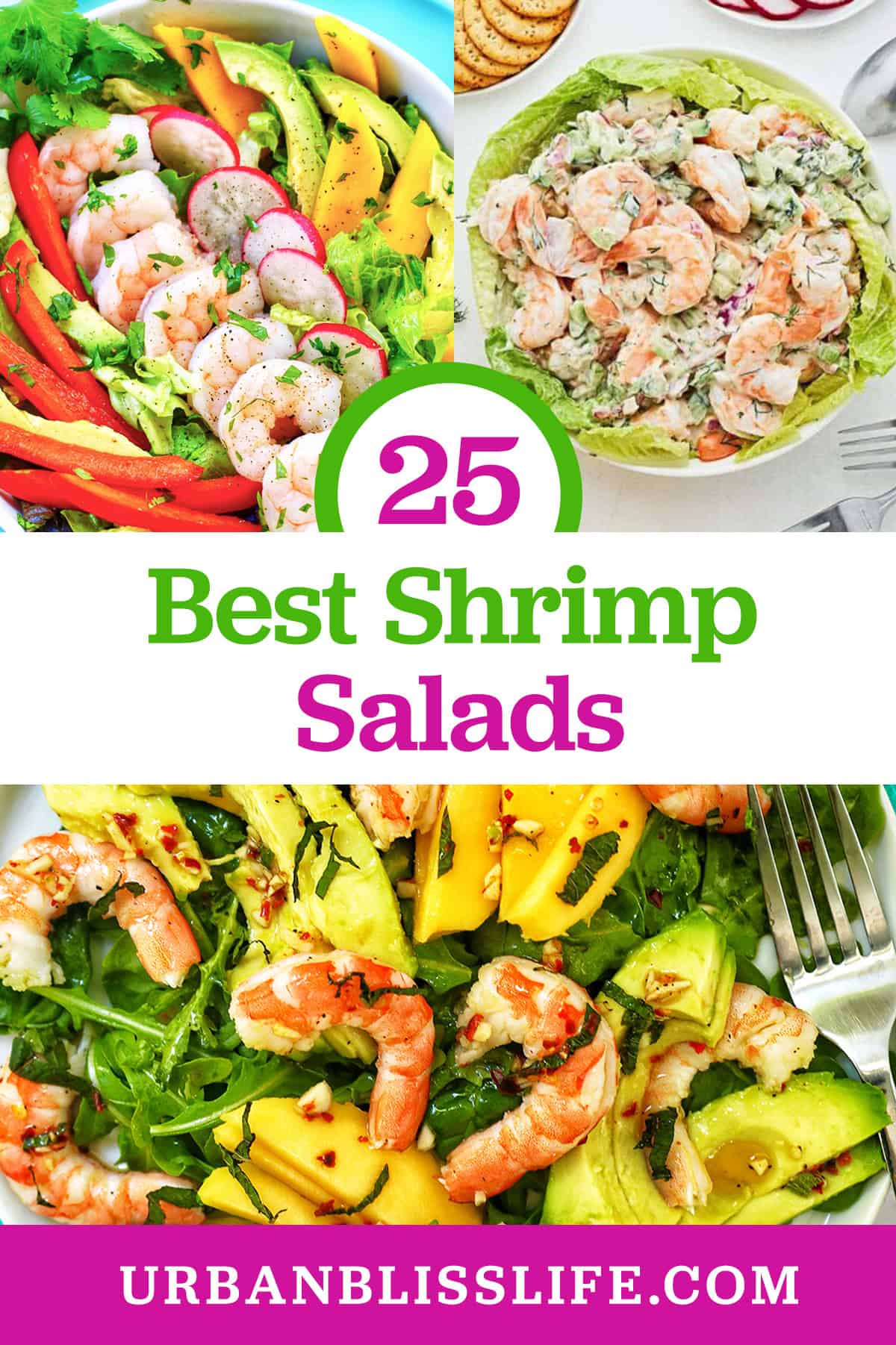 three shrimp salads with title text that reads "25 Best Shrimp Salads."