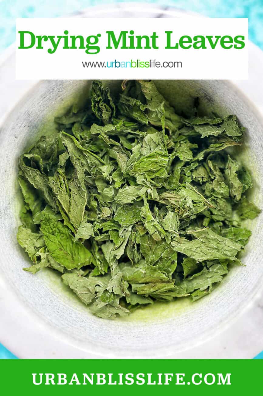 dried mint leaves in a marble bowl.
