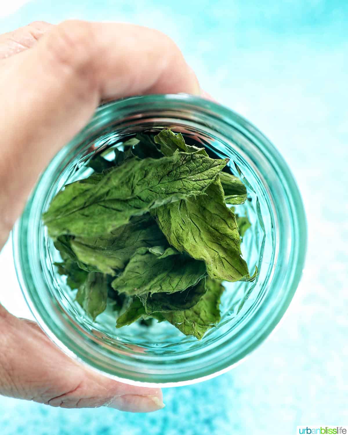 dried mint leaves in a mason jar.