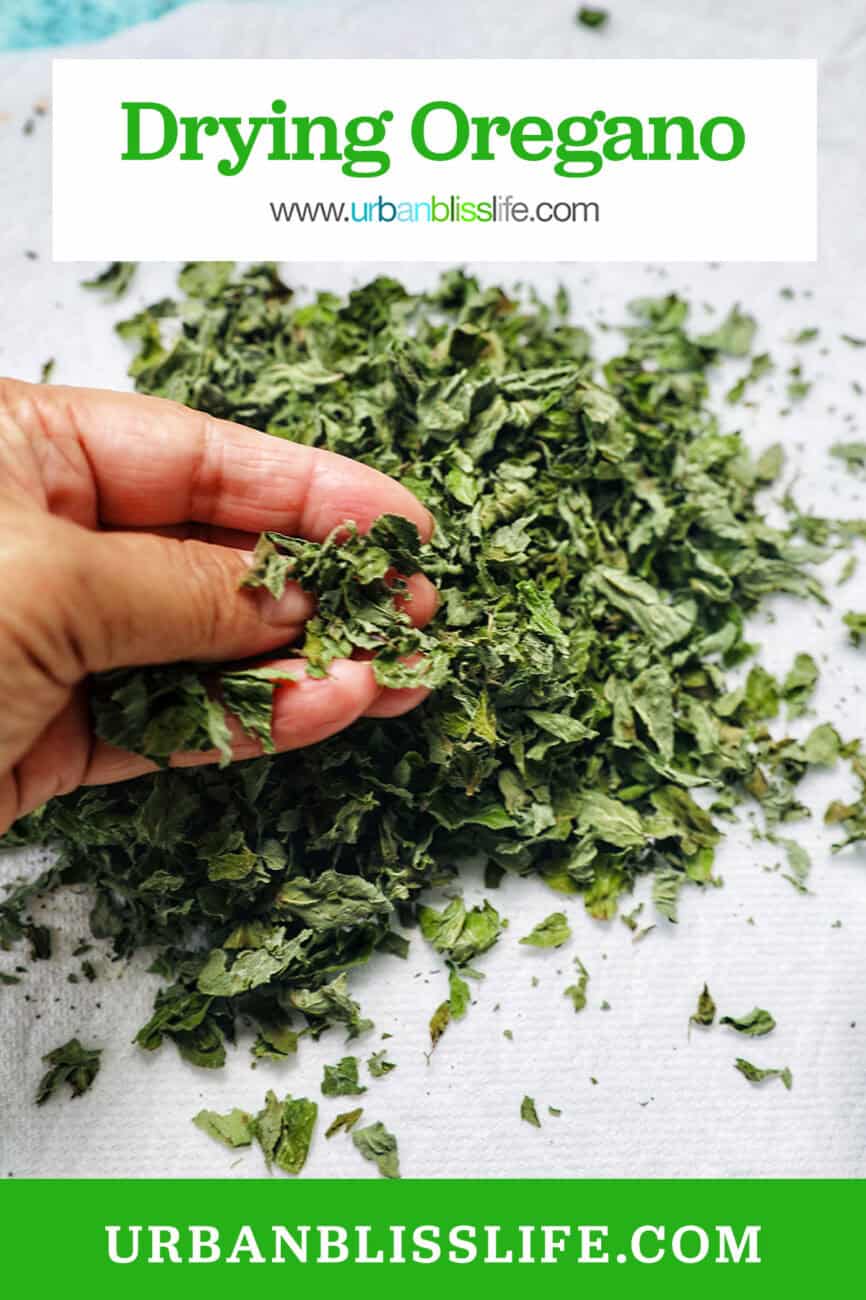 hand crumbling dried oregano leaves.