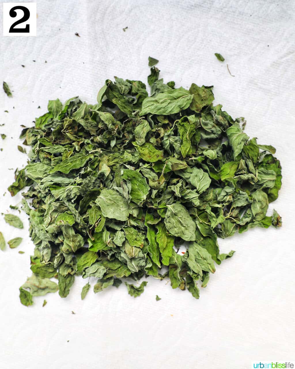 dried oregano leaves on a paper towel.