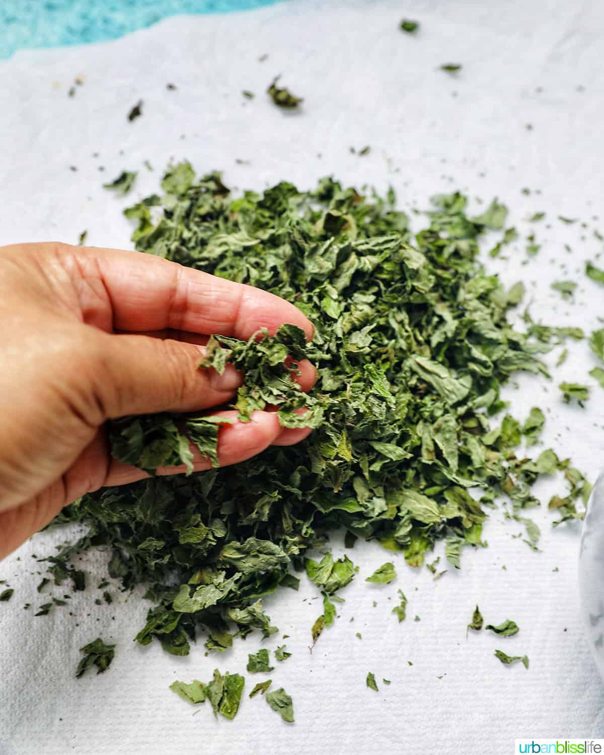 hand crushing dried oregano leaves over a paper towel.