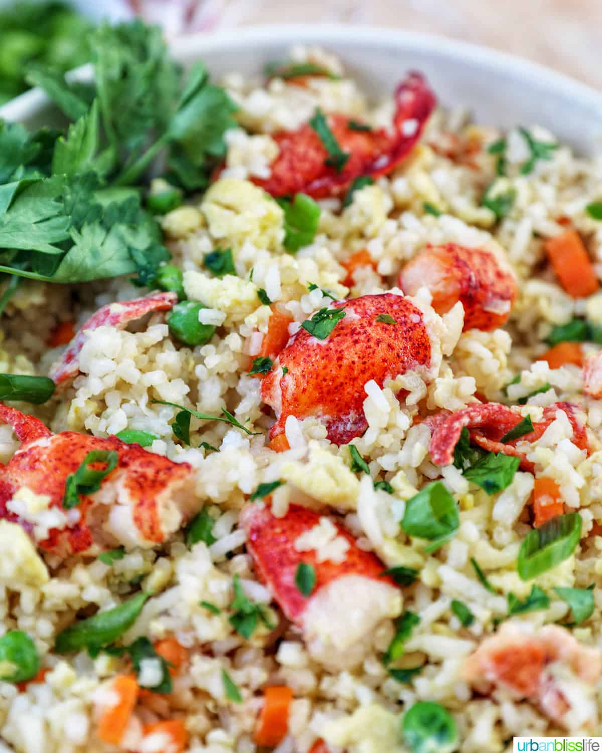 bowl of lobster fried rice.