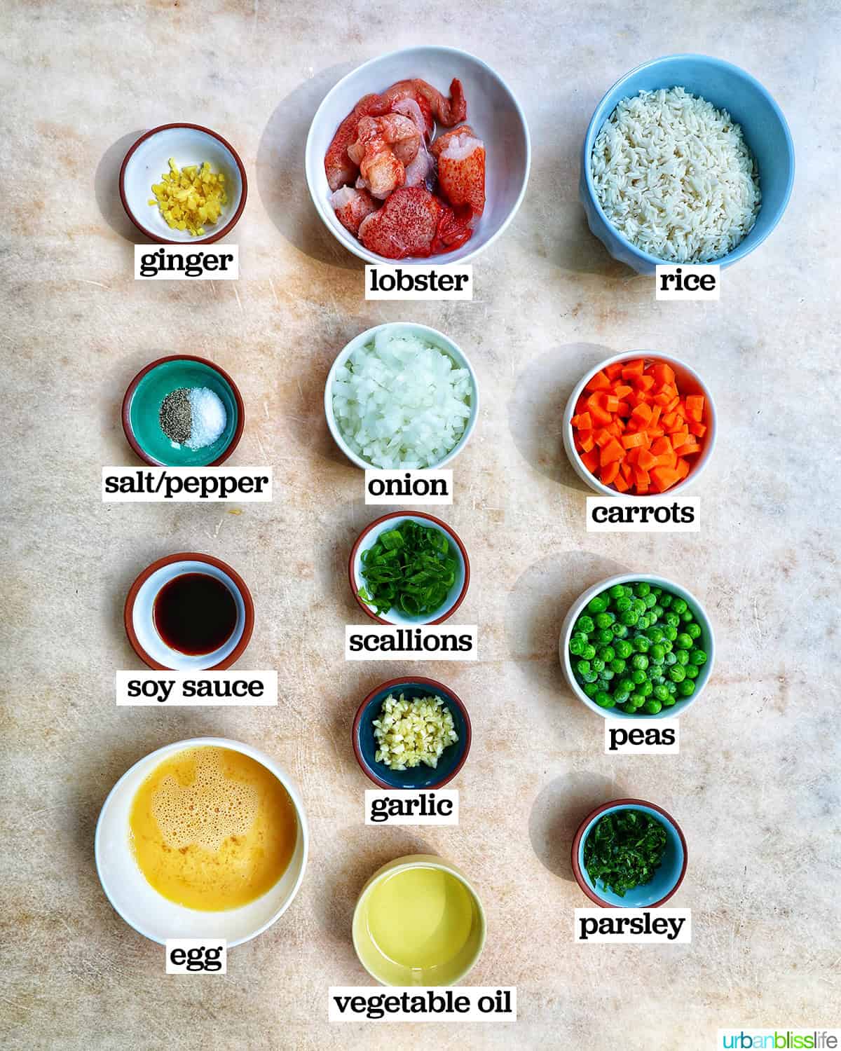 bowls of ingredients to make lobster fried rice.