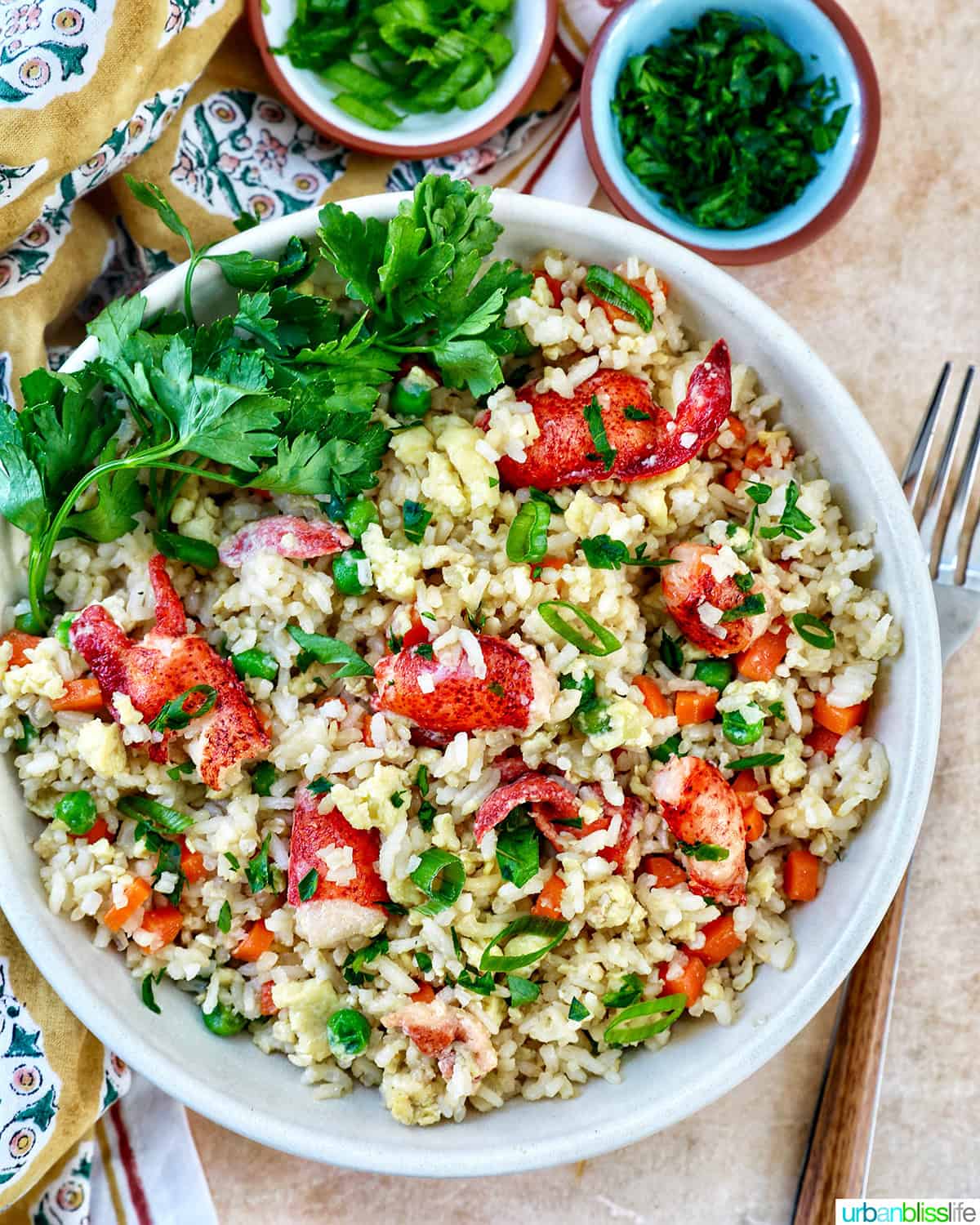 bowl of lobster fried rice with bowls of fresh herbs, a napkin, and a fork.