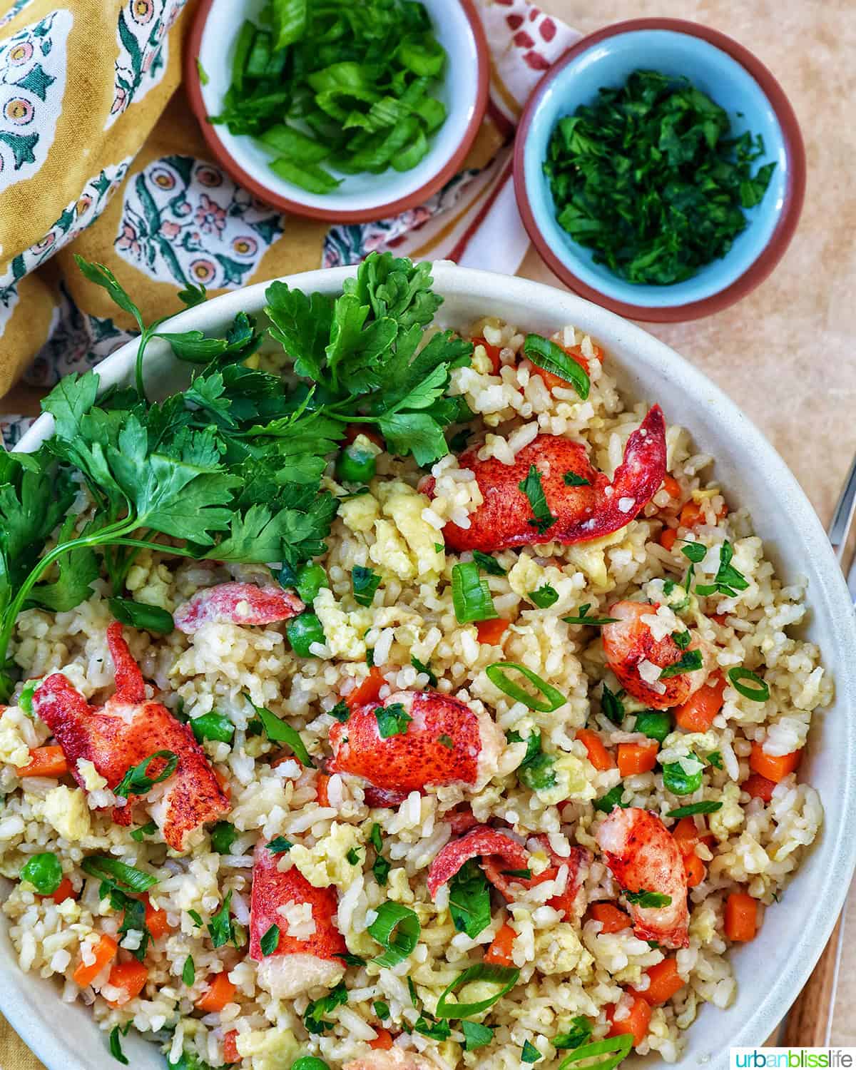 bowl of lobster fried rice with bowls of fresh herbs.