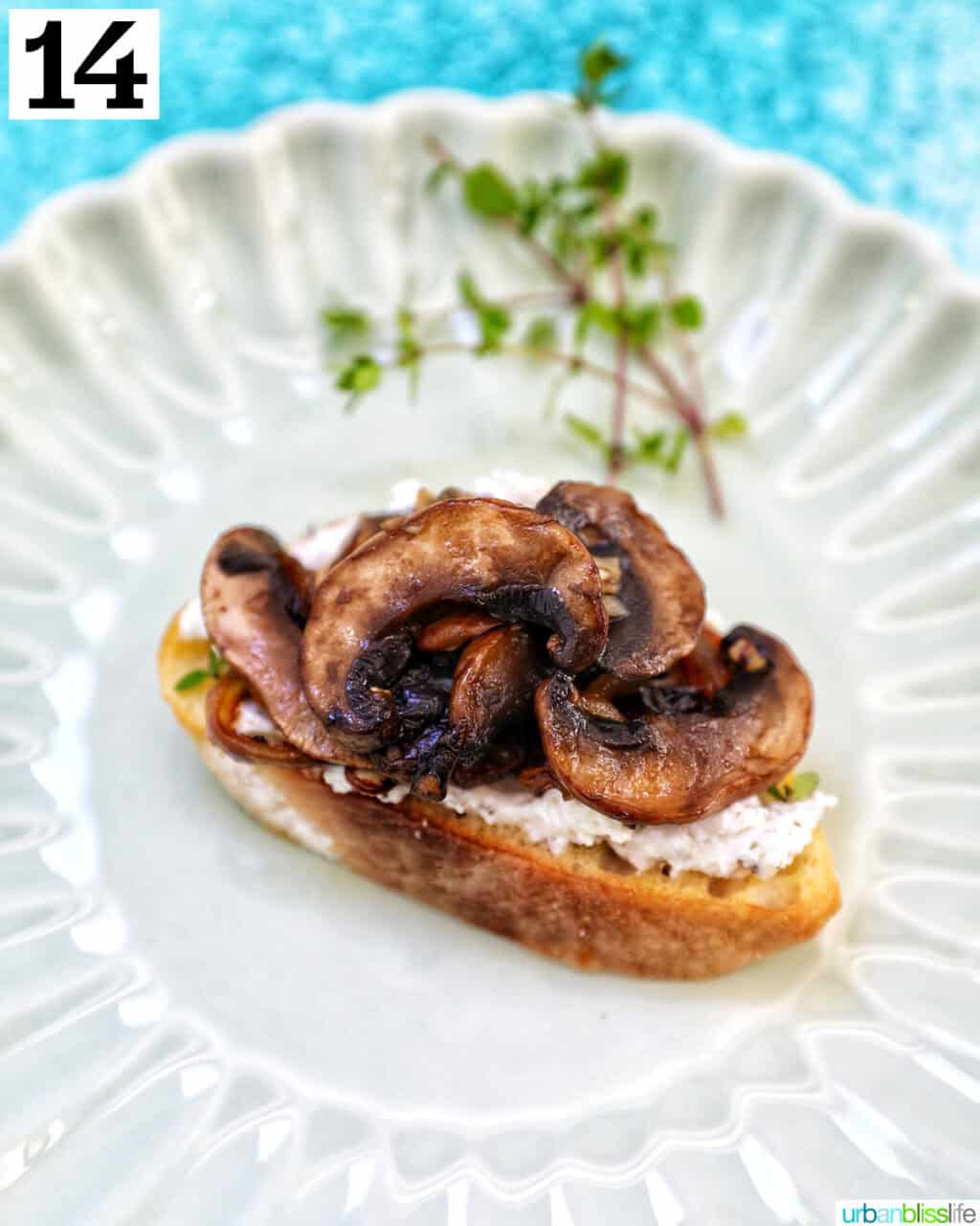 single mushroom crostini on a plate.