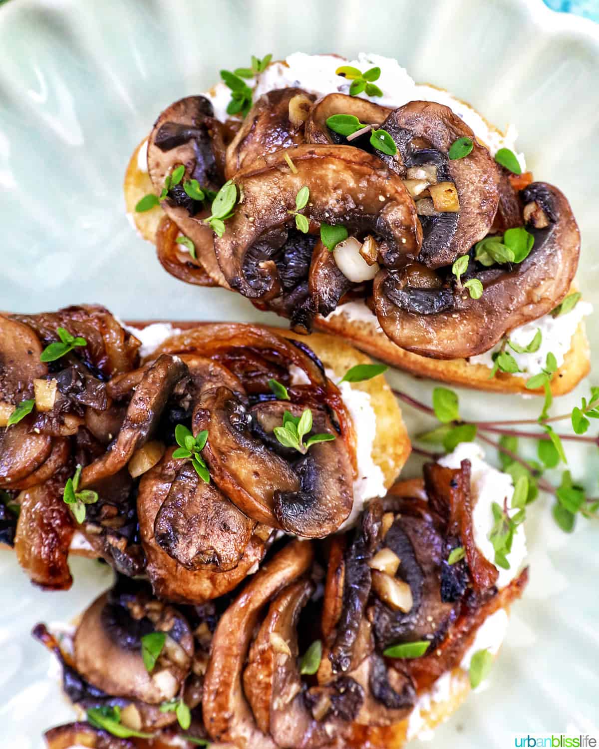 angle of three mushroom crostini on a plate.
