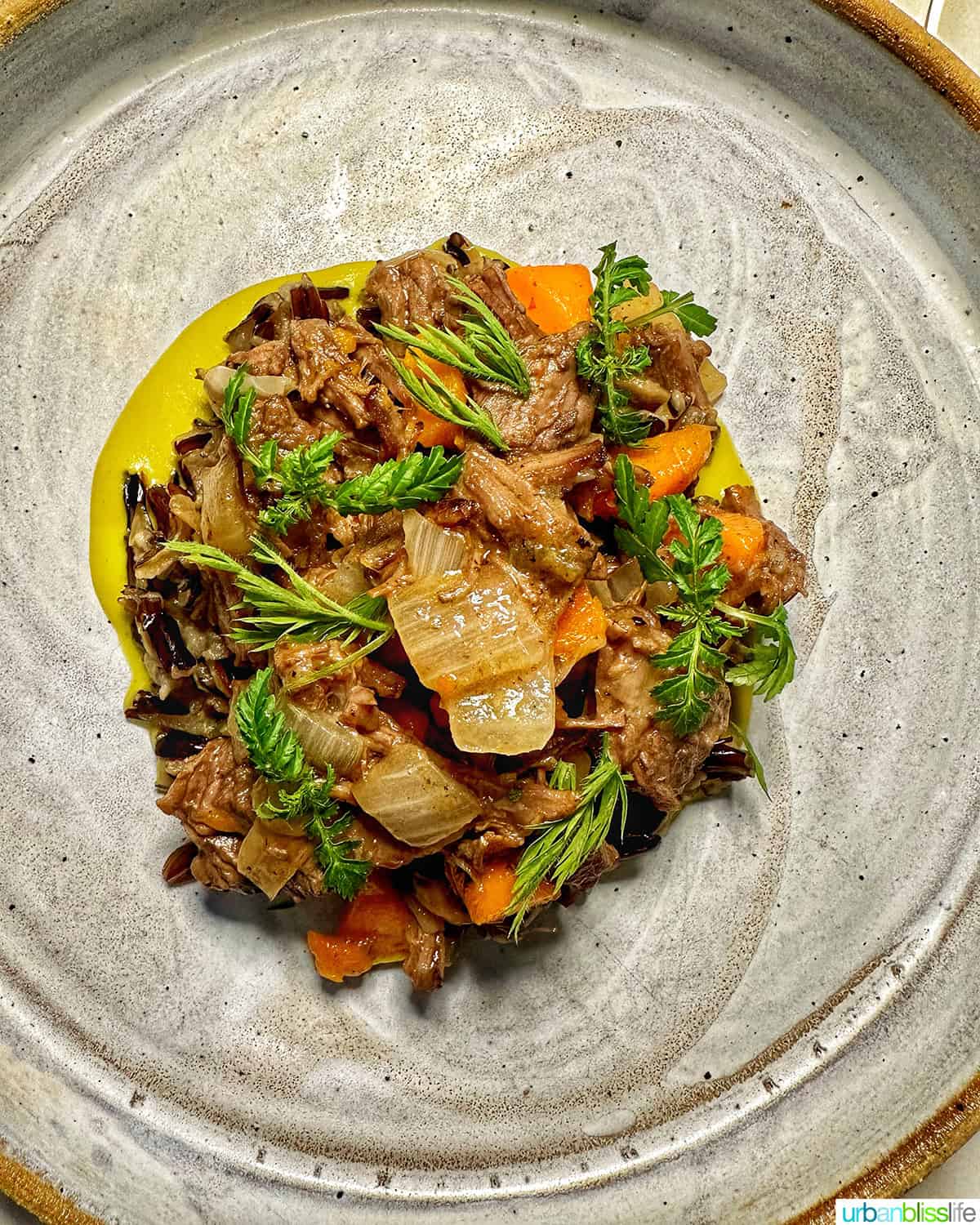 Republica restaurant's take on beef bourguignon.