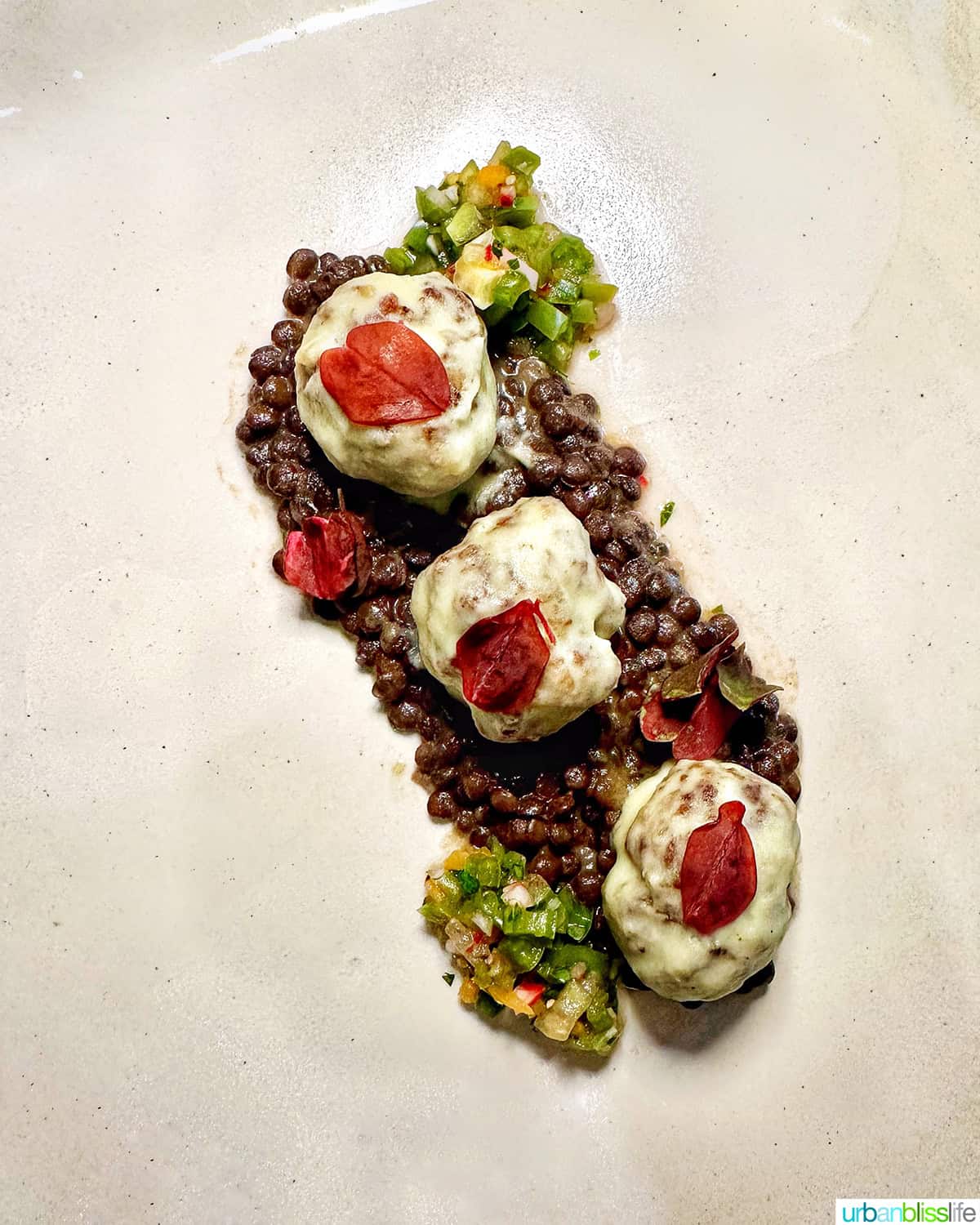 alpaca albondigas meatballs at Republica restaurant in Portland, Oregon.
