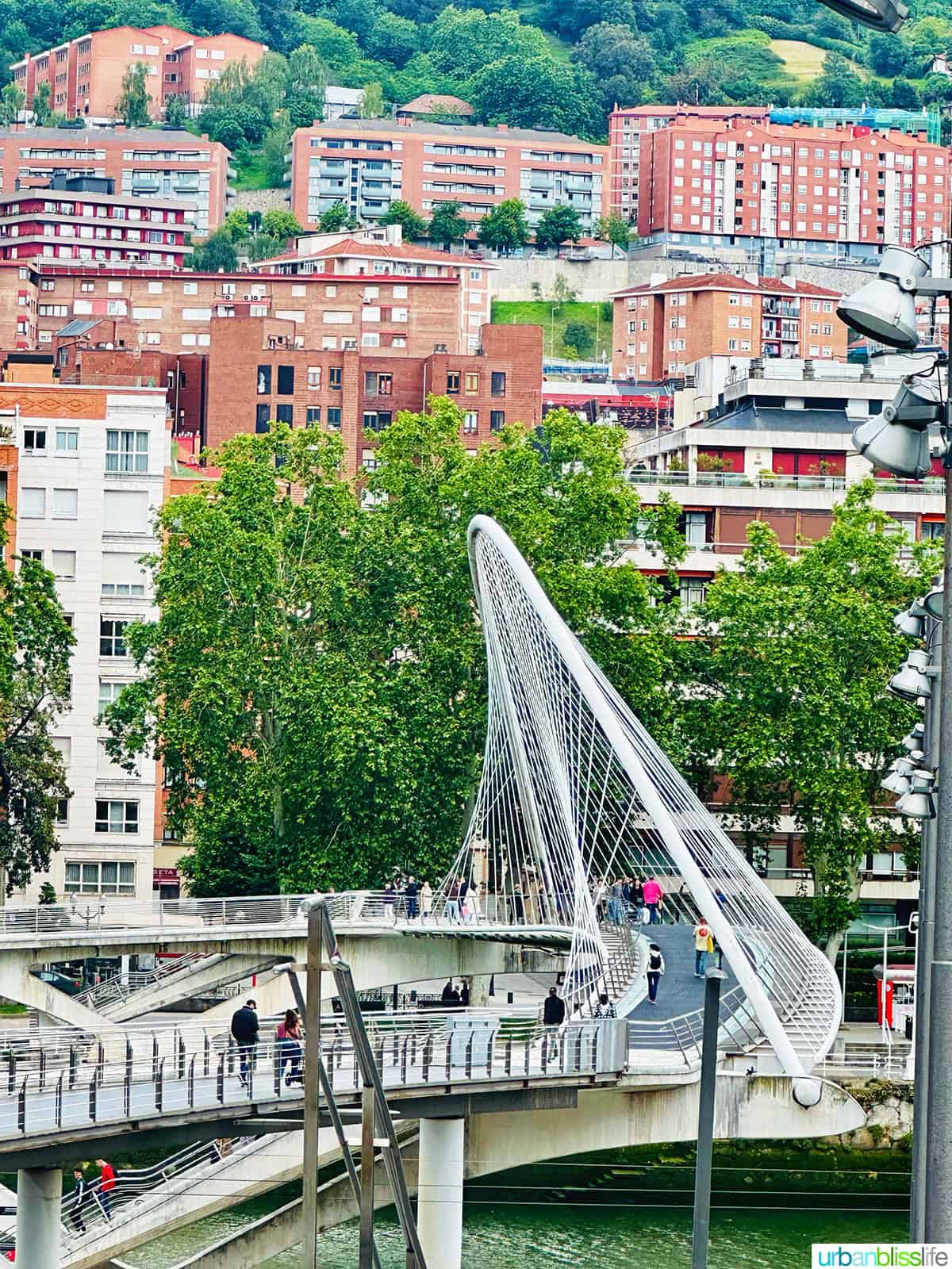 Zubizuri bridge 