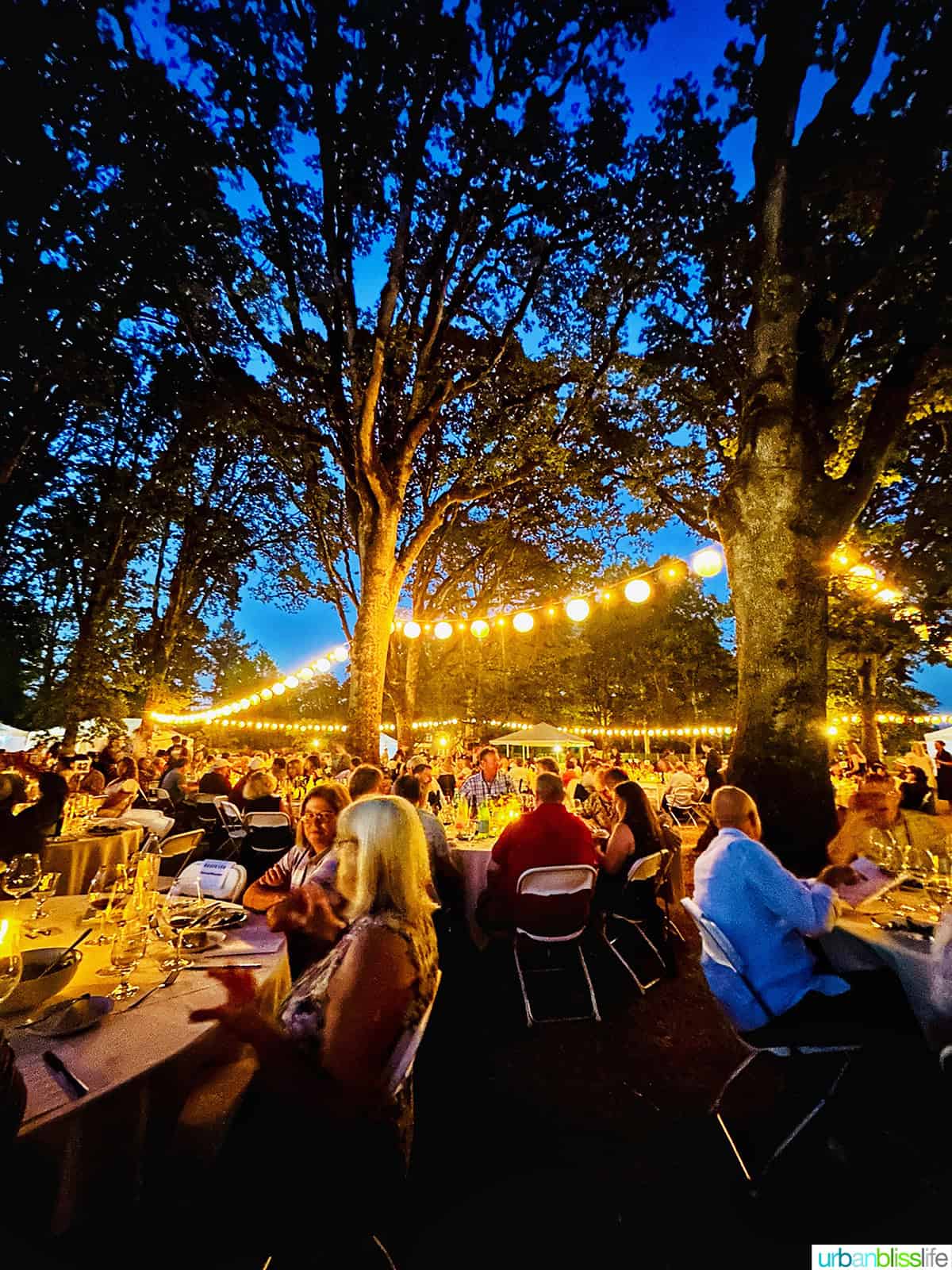 outdoor dinner with string lights and lots of people seated at tables for IPNC.