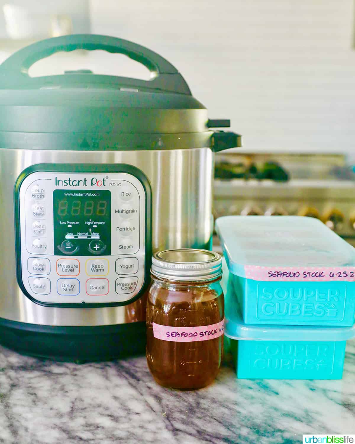 Instant Pot, mason jar with seafood stock, Souper Cubes.