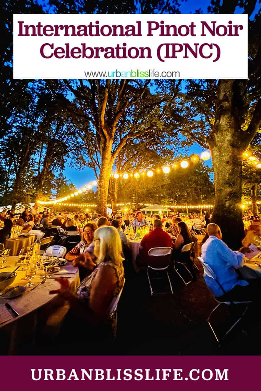 outdoor dinner with string lights and lots of people seated at tables for IPNC.