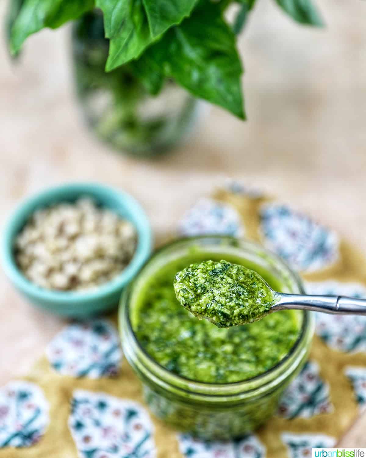 mason jar with spoon full of basil pesto next to a bowl of pine nuts.