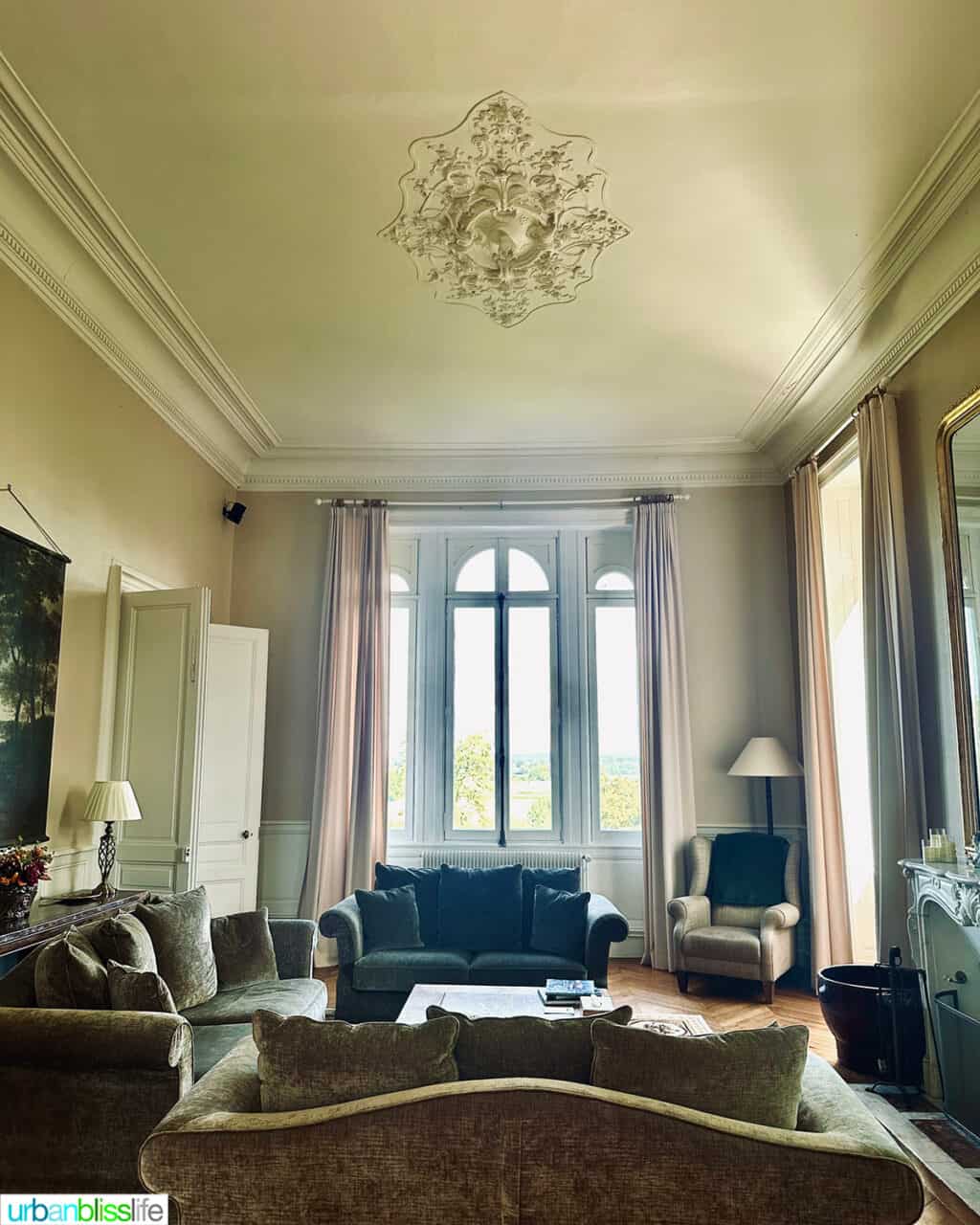 living room at Chateau de Valcreuse in La Roche-Posay, France.