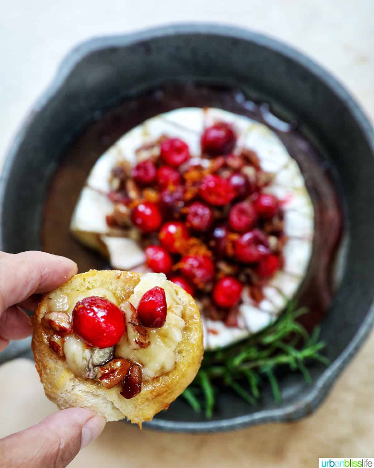 cranberry pecan baked brie in a skillet with side of crostini bread, honey.