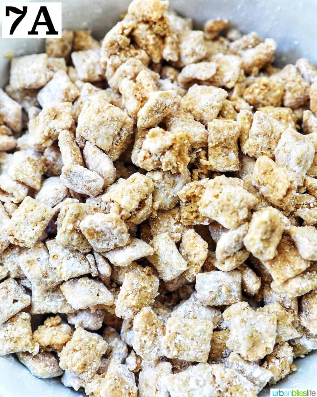 bowl of puppy chow.