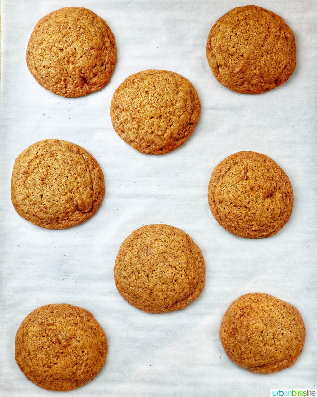 pumpkin pie spice cookies baked on a baking sheet.