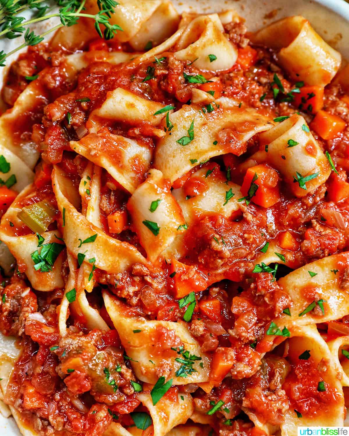 lamb ragu pappardelle garnished with chopped parsley.