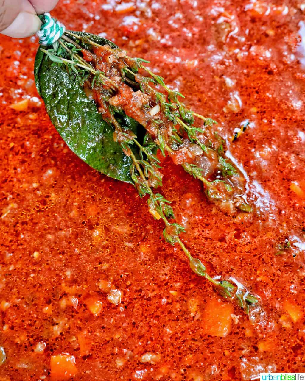 bundle of green herbs being taken out of lamb ragu sauce.