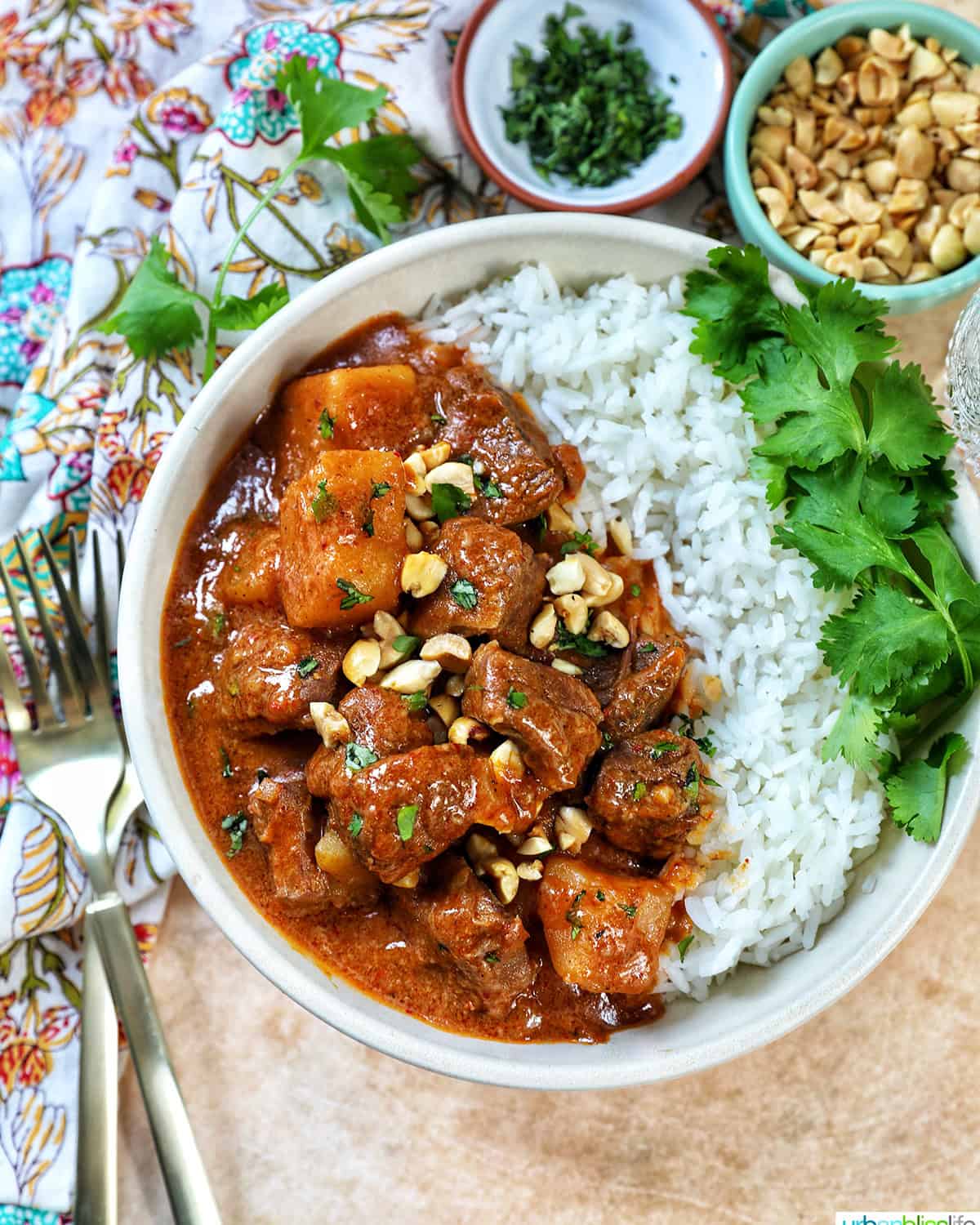 slow cooker beef massaman curry with rice in a bowl, forks, and garnishes.