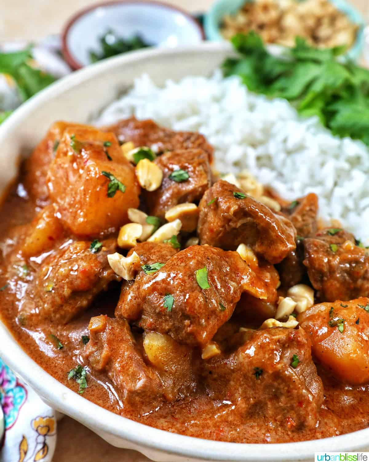 slow cooker beef massaman curry with rice in a bowl.
