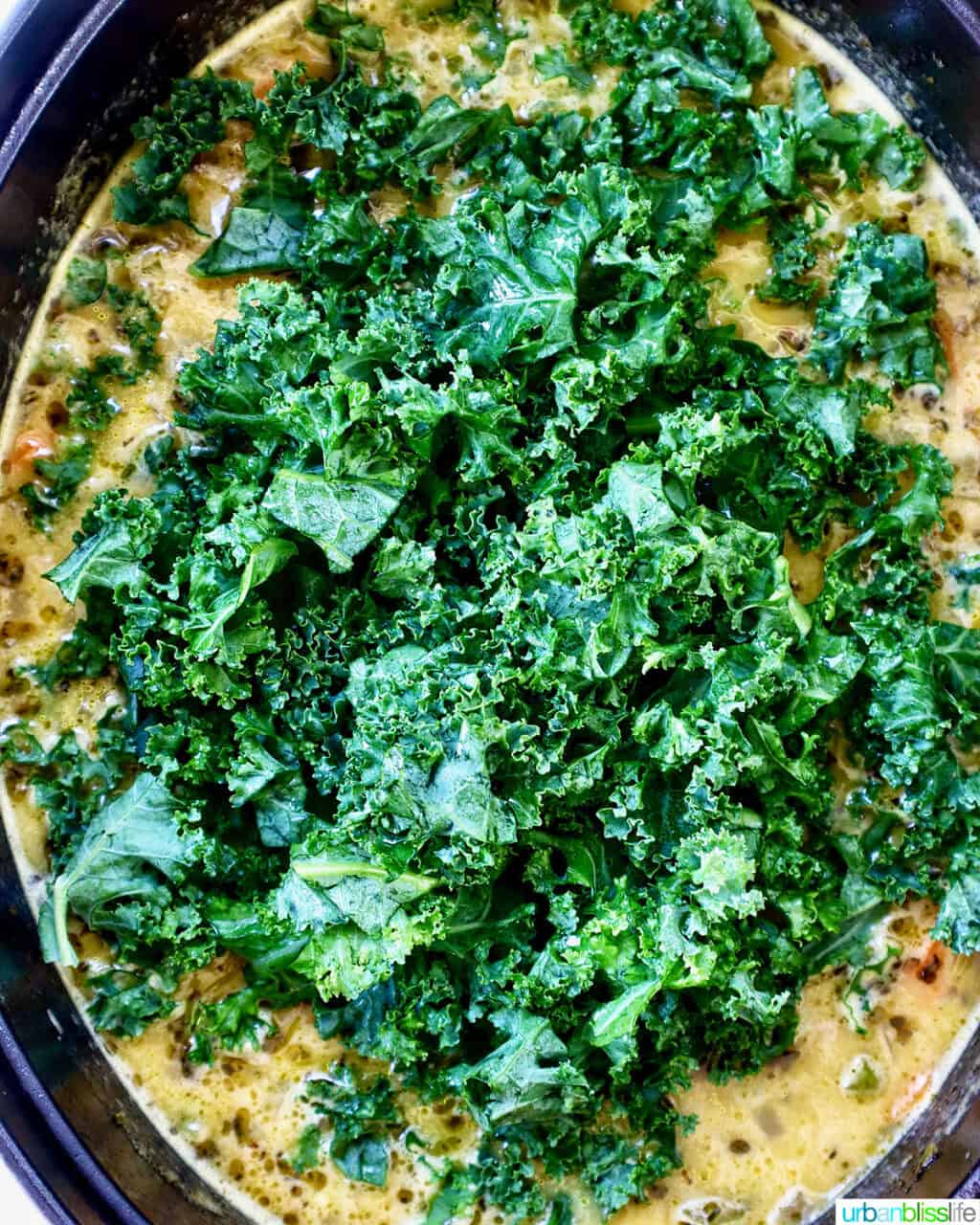 Tuscan kale and white bean soup in a Dutch oven.