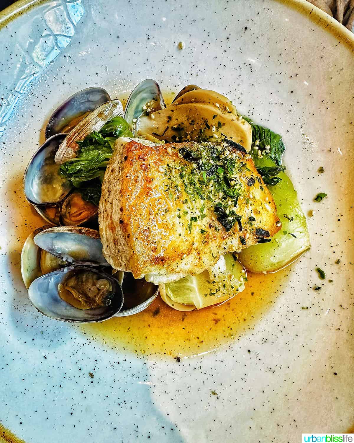 bowl of bouillabaisse.