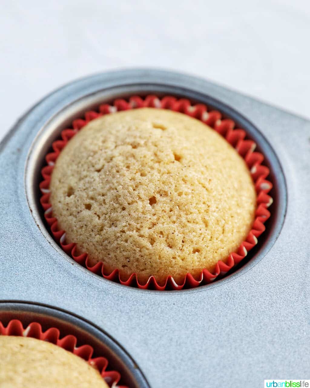 single baked cupcake.