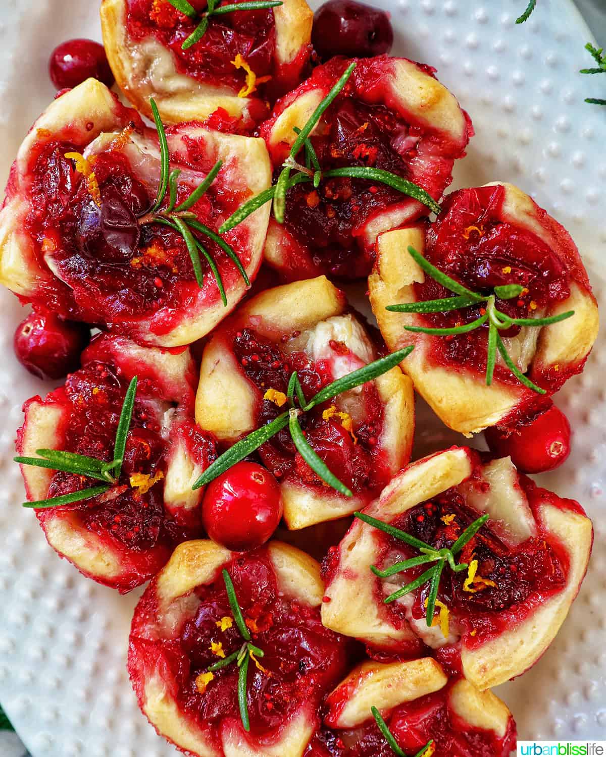 cranberry brie tartlet appetizers on a plate