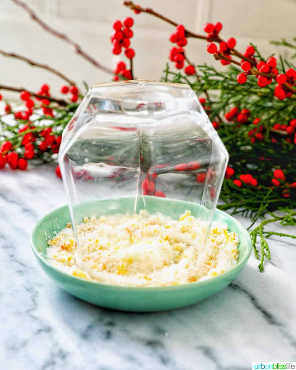 cocktail glass in a shallow bowl of citrus sugar.