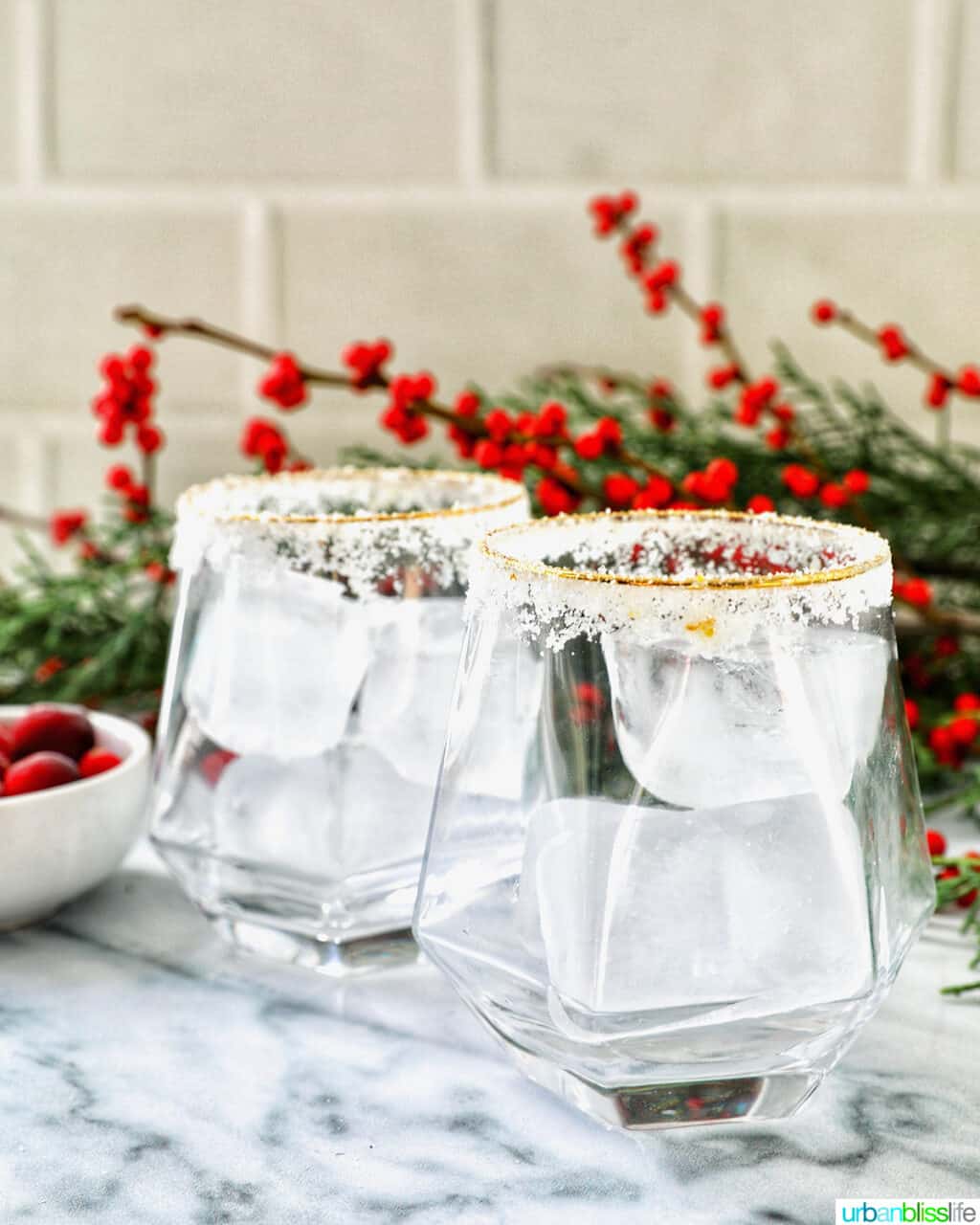ice cubes added to two cocktail glasses.