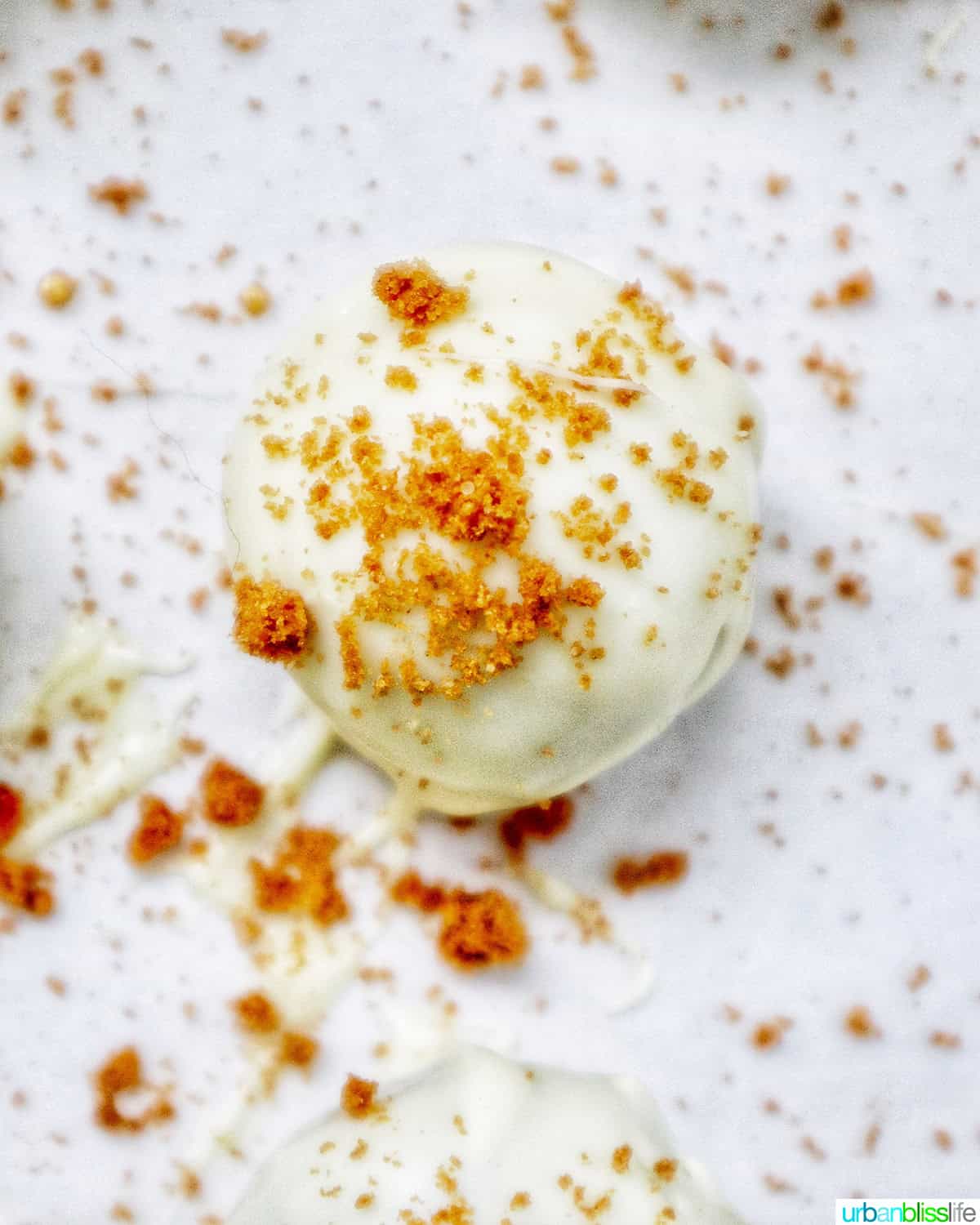 a single gingerbread truffle.