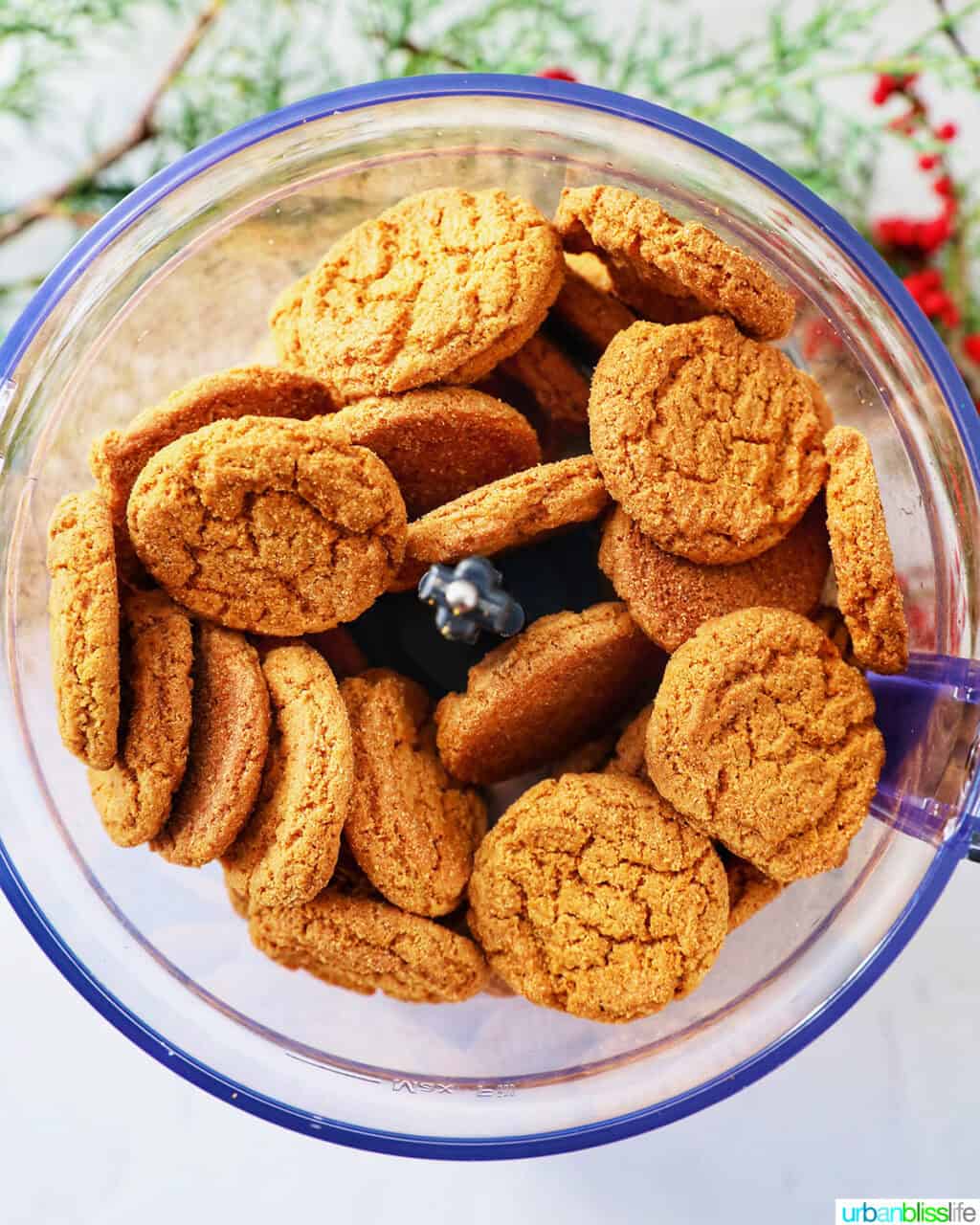 gingersnap cookies in a food processor.