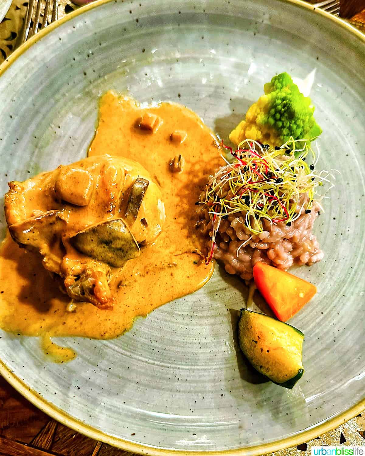 chicken and vegetables.