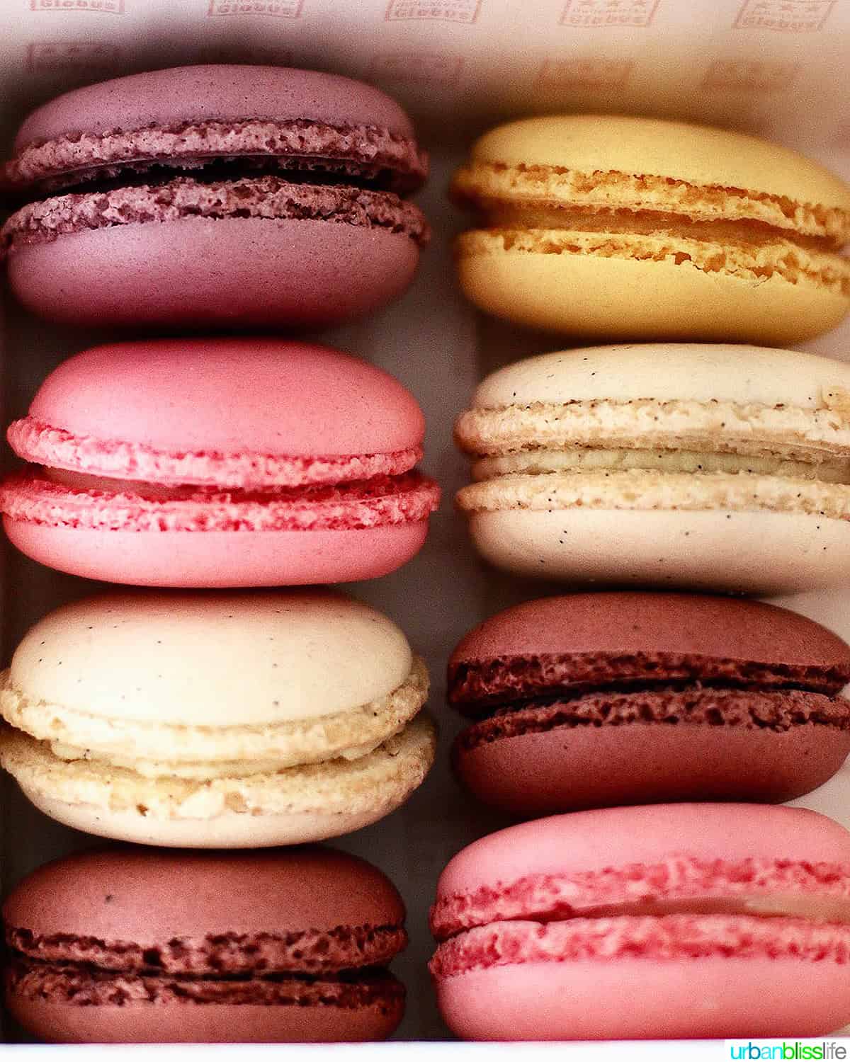 two rows of colorful macaron cookies.