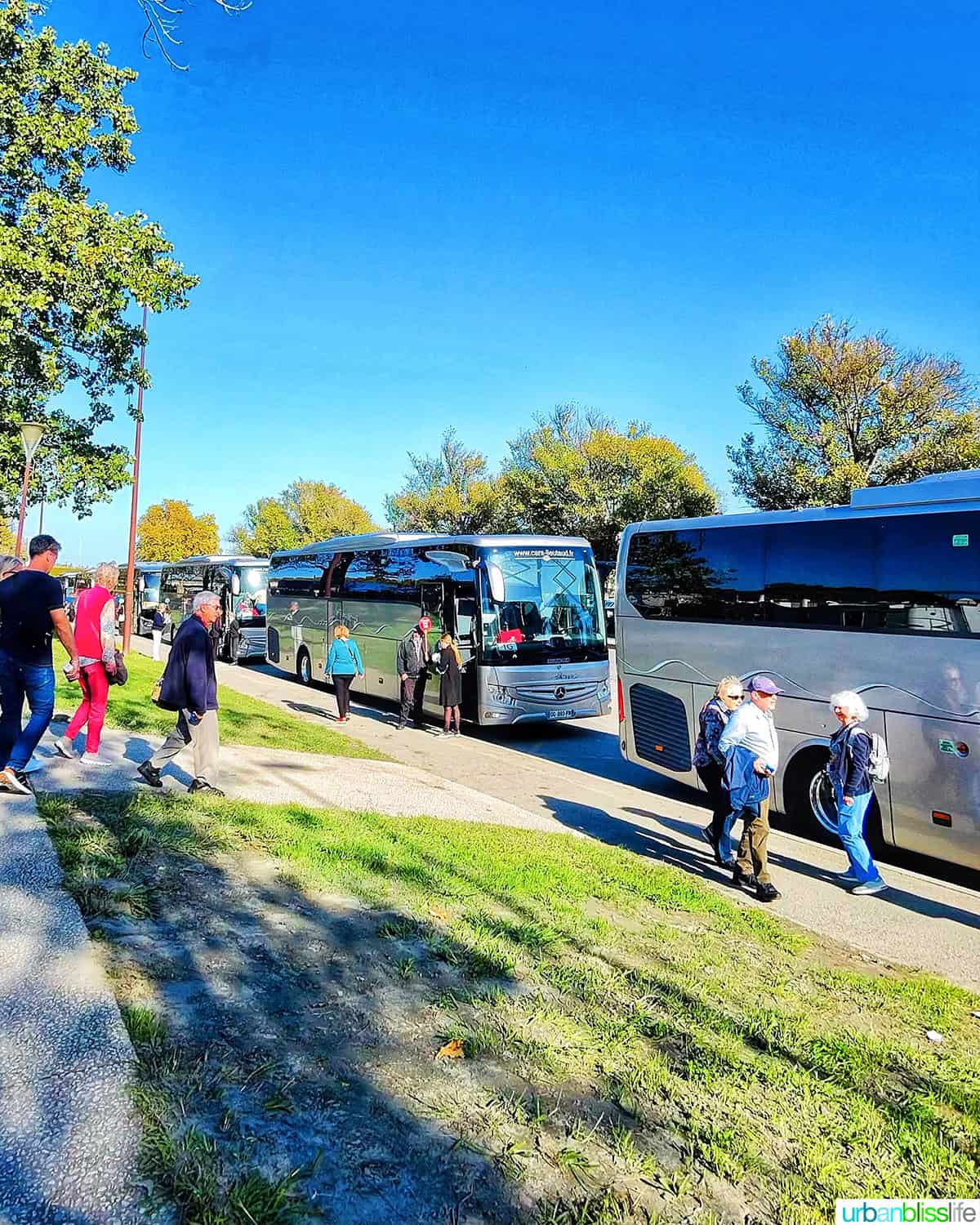 tour bus from avignon to pont du gard