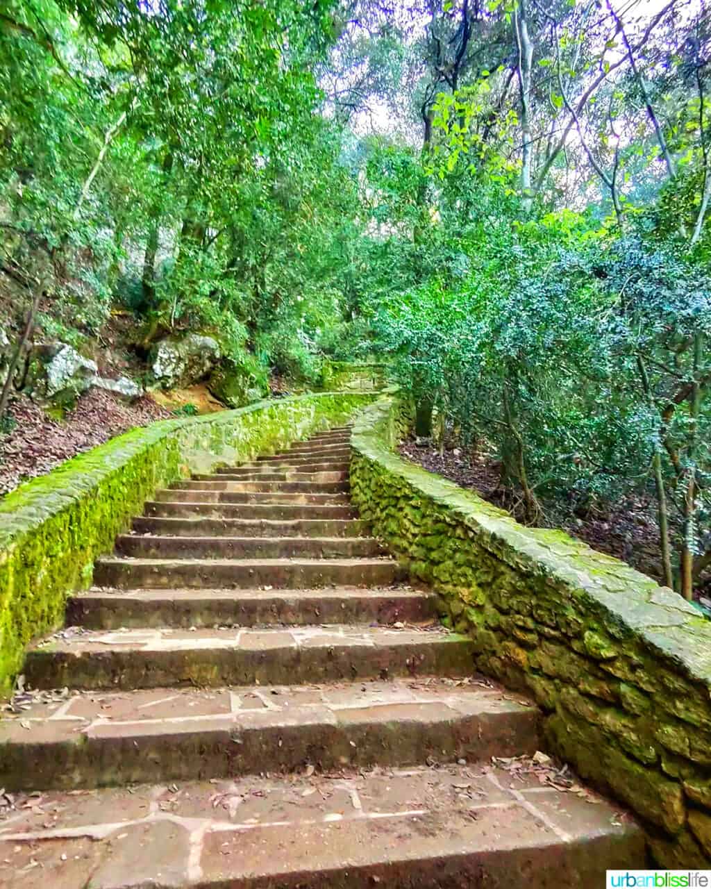 stone stairway at pont du gard