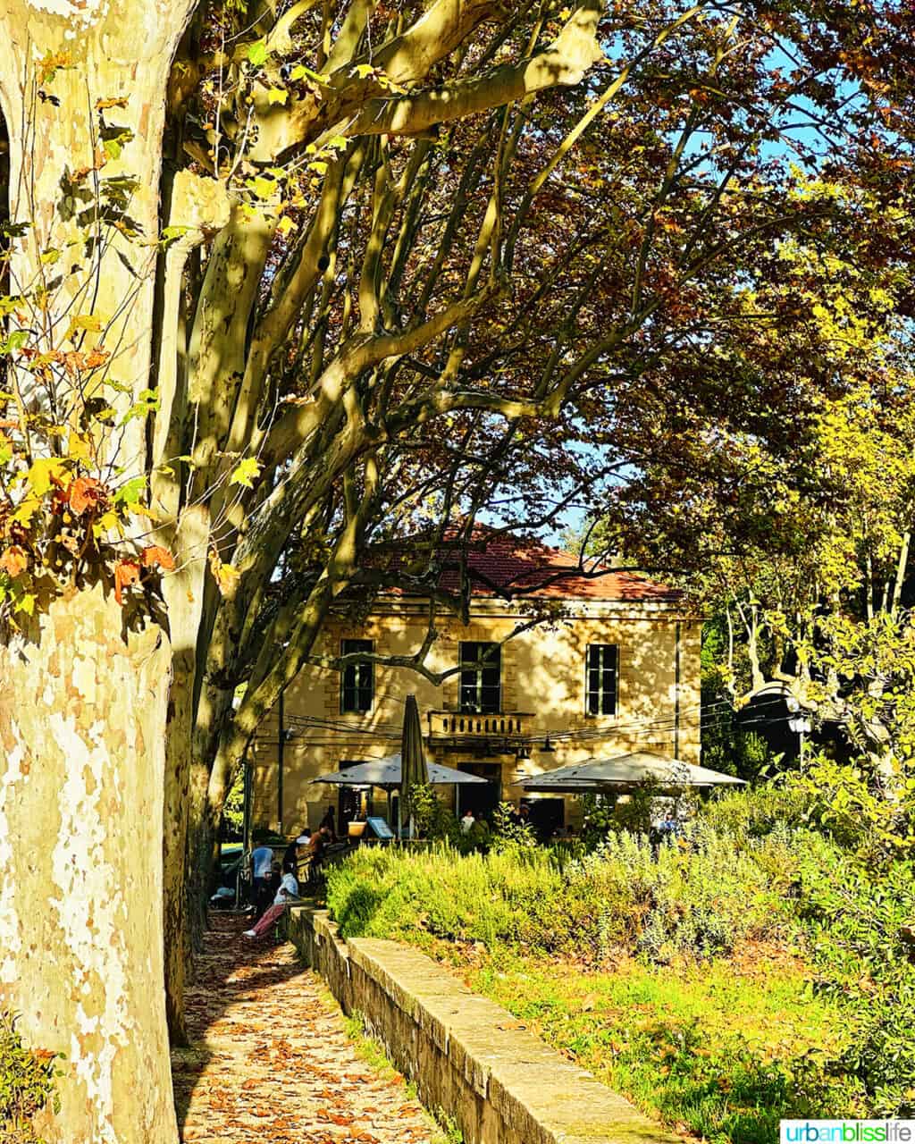 restaurant les terrasses at pont du gard