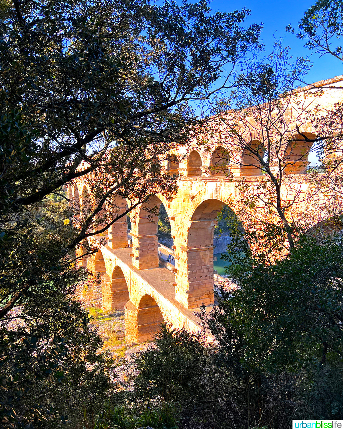 pont du gard looking through trees