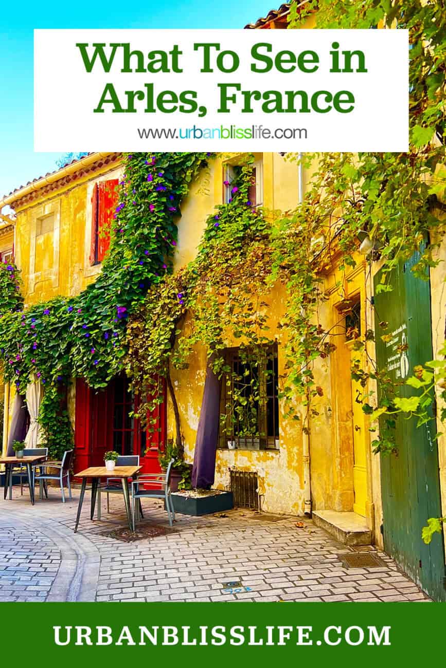 vine covered building in arles, france