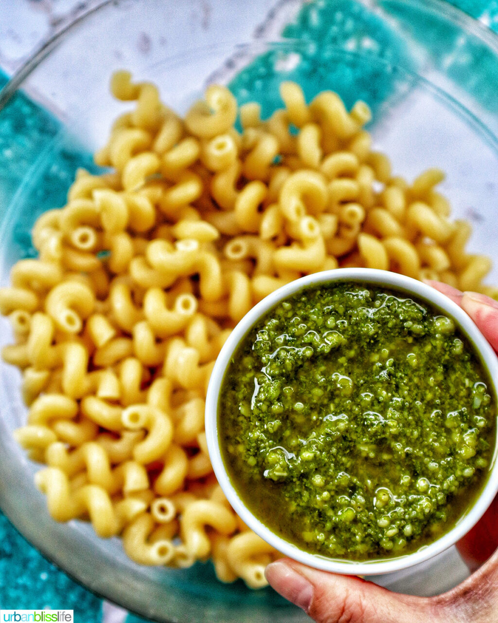 bowl of pesto over pasta.