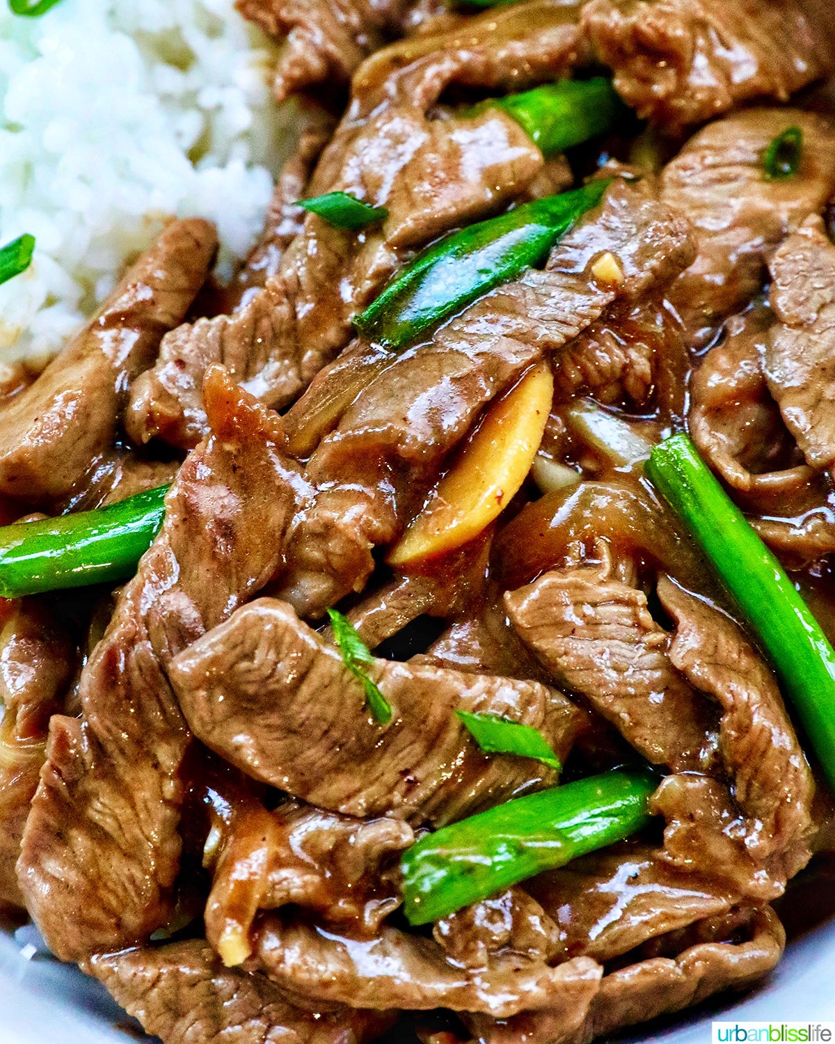 bowl of beef and onion stir fry.