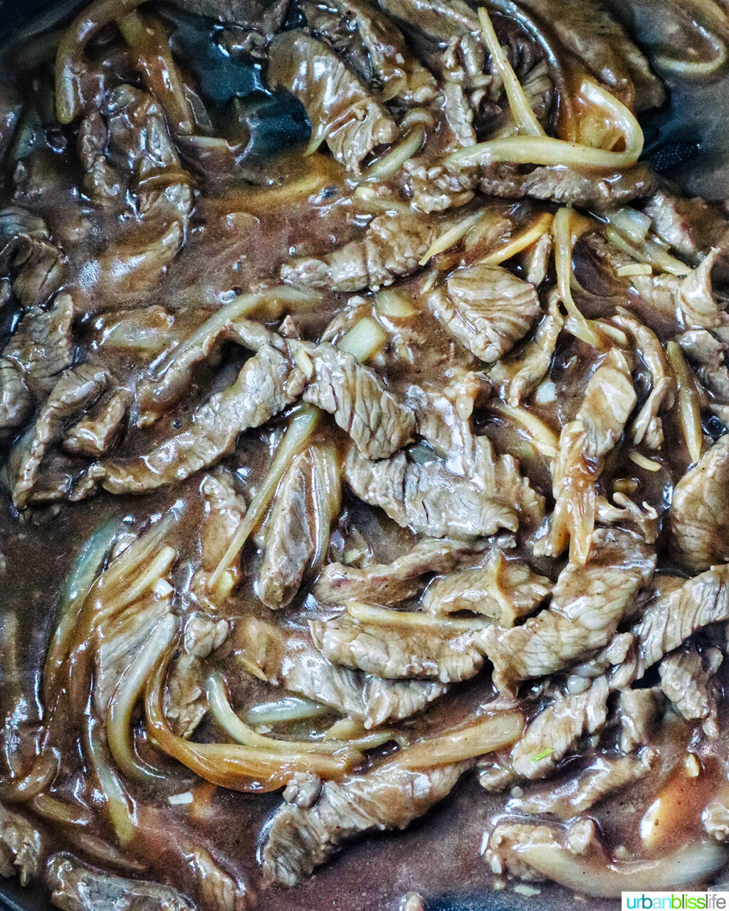 beef and onions in stir fry sauce.